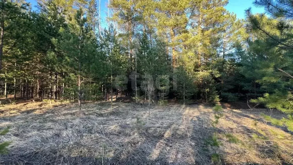 Участок в Татарстан, Казань  (15.0 сот.) - Фото 1