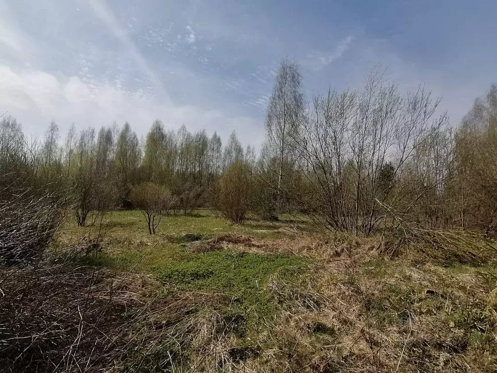 Участок, 15 сот., поселения (ижс) - Фото 1