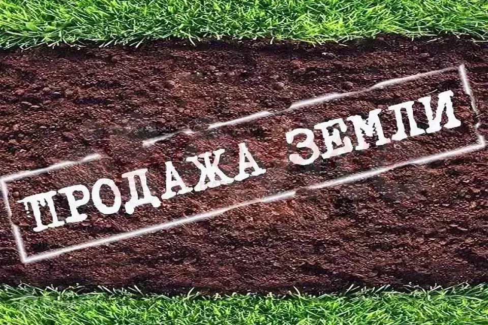Участок 10 сот. (ИЖС) - Фото 0