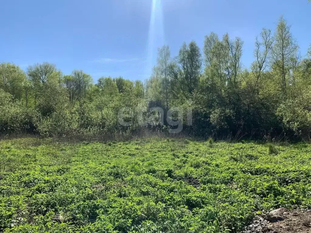 Участок в Свердловская область, Екатеринбург ВИЗ жилрайон,  (18.84 ... - Фото 1