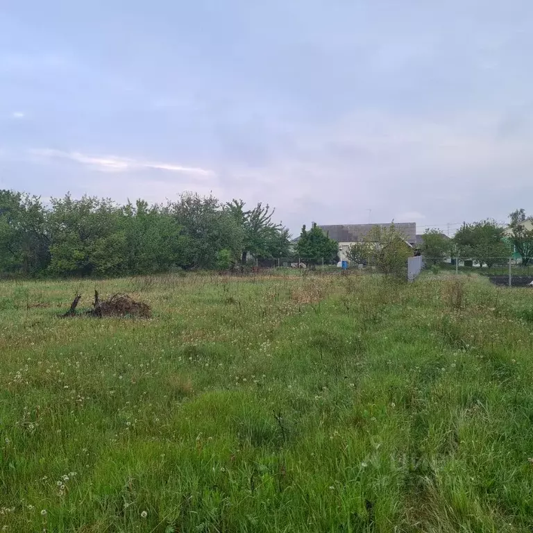 Участок в Воронежская область, с. Новая Усмань ул. Кирова (21.0 сот.) - Фото 1
