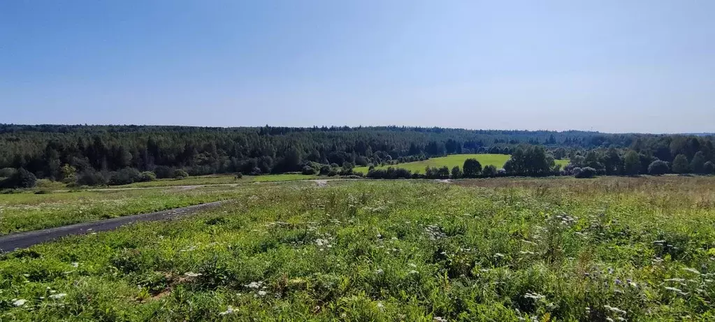 Участок в Московская область, Сергиево-Посадский городской округ, д. ... - Фото 1