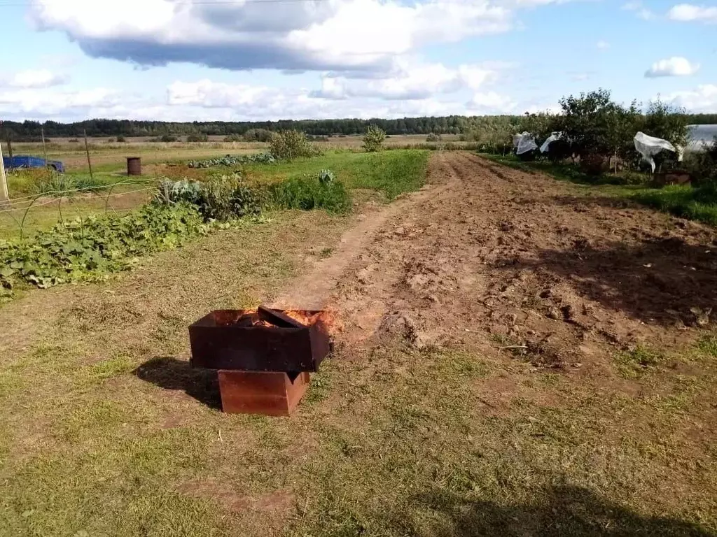 Участок в Новгородская область, Новгородский район, Трубичинское ... - Фото 1