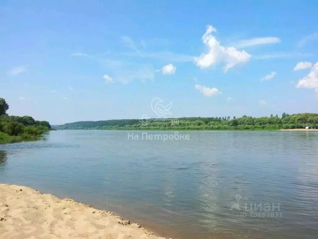 Участок в Тульская область, Ясногорский район, Иваньковское ... - Фото 1