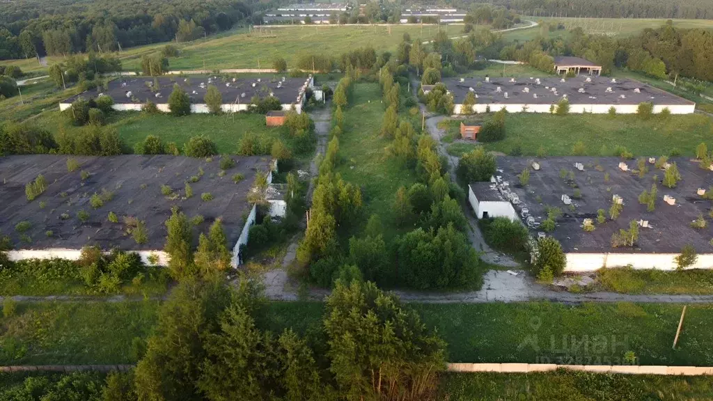 Производственное помещение в Тульская область, Тула городской округ, ... - Фото 1