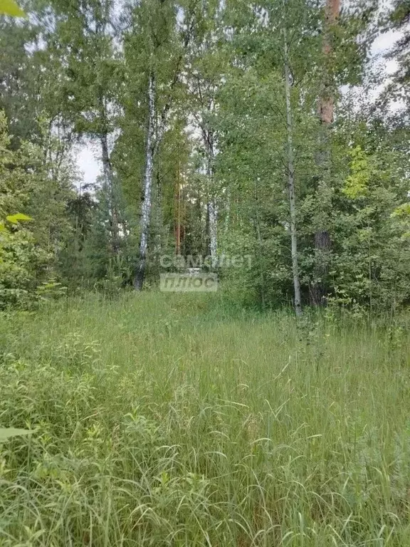 Участок в Московская область, Лосино-Петровский городской округ, д. ... - Фото 2