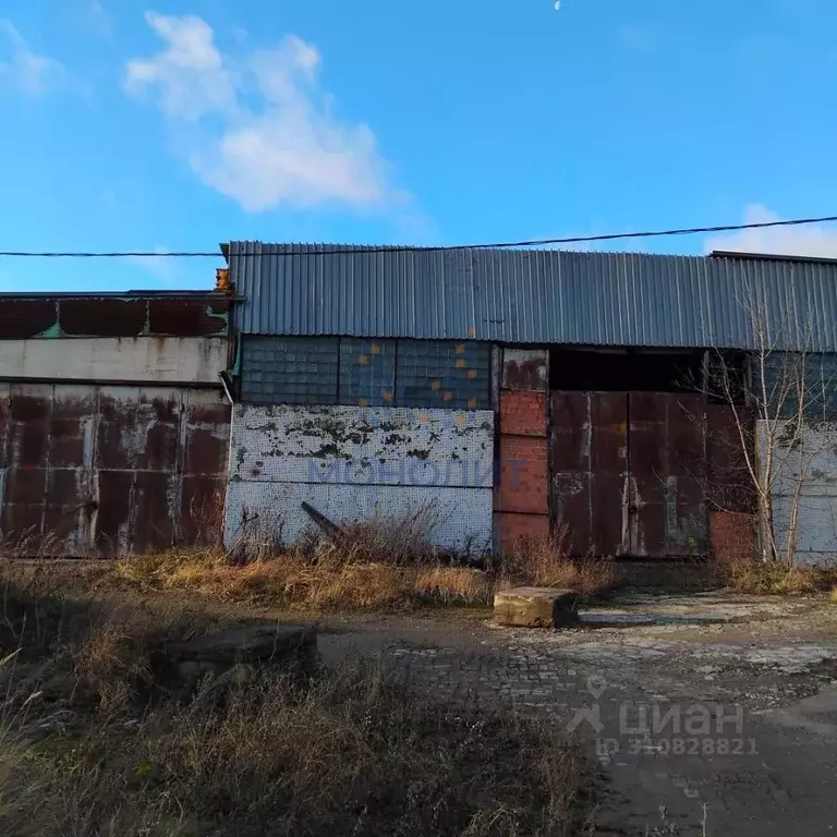 Склад в Московская область, Раменский городской округ, Косино СНТ 8 ... - Фото 1