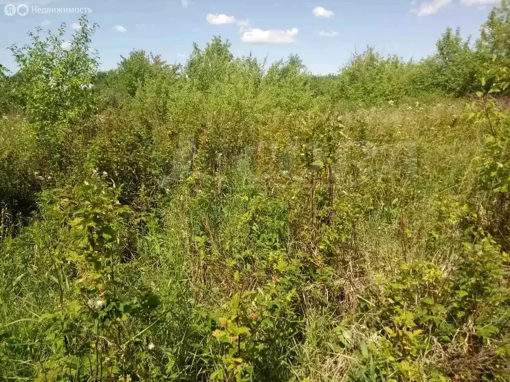 Участок в Курганская область, Кетовский муниципальный округ, село ... - Фото 1
