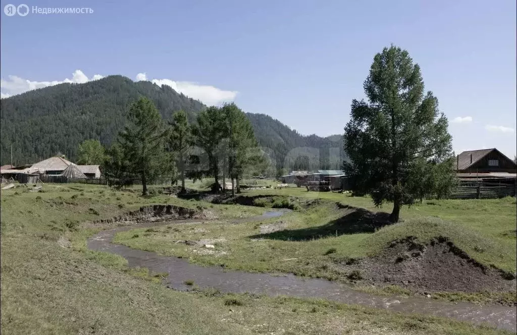Участок в Усть-Коксинский район, село Сугаш (480 м) - Фото 1