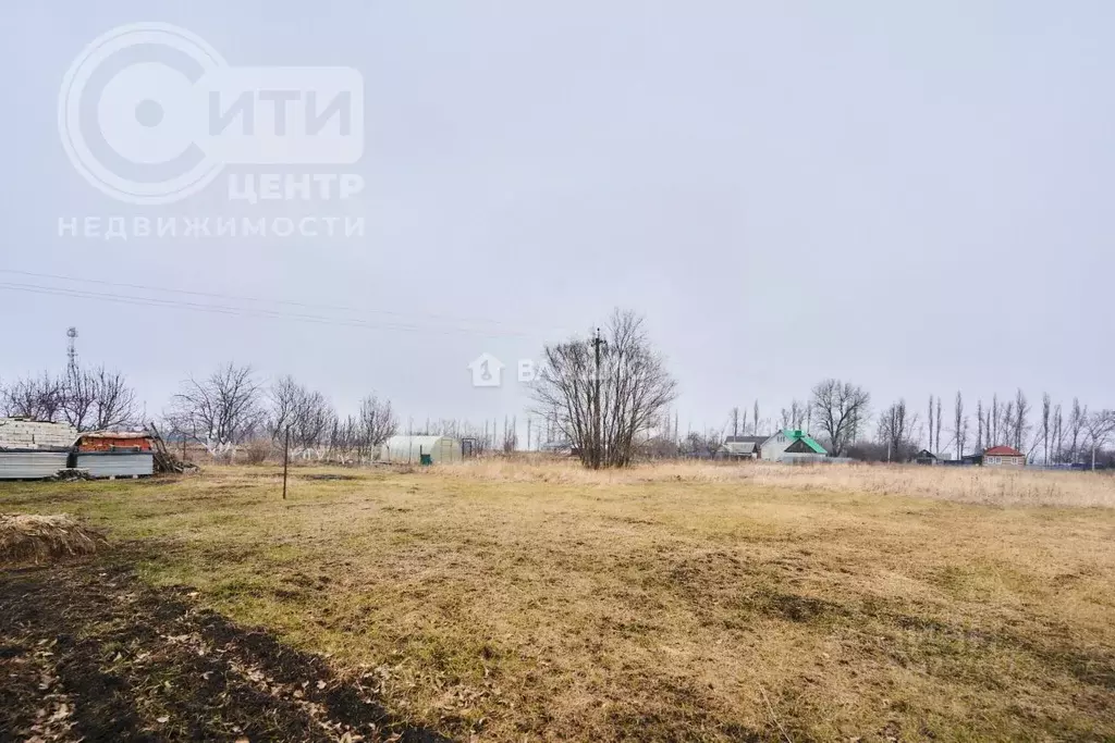 Участок в Воронежская область, Новоусманский район, Усманское 1-е ... - Фото 0