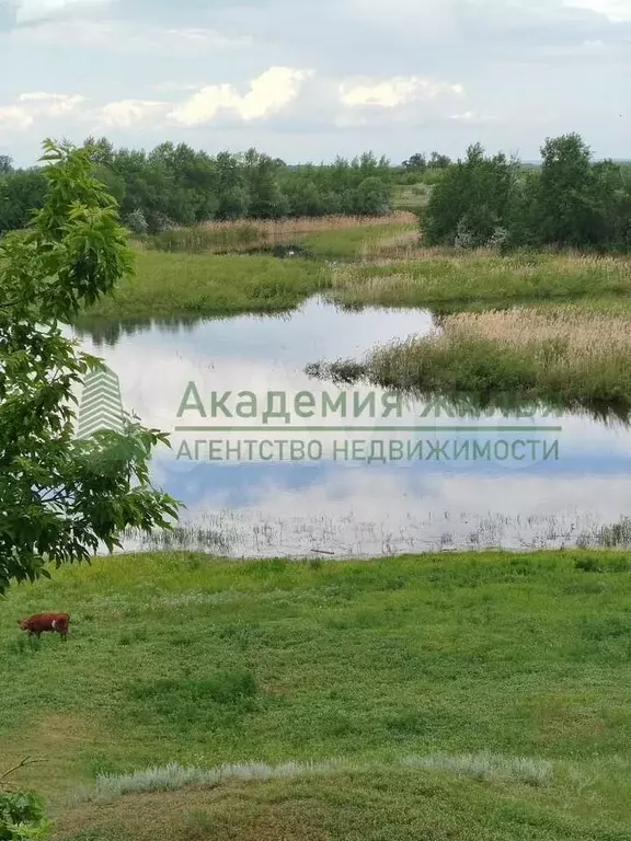 Дом 46 м на участке 5 сот. - Фото 1