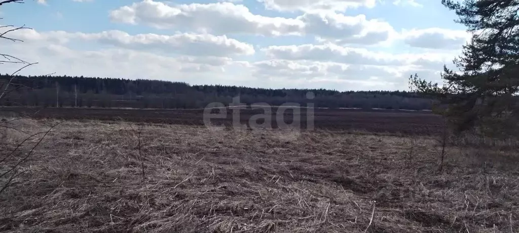 Участок в Вологодская область, д. Тропино  (13.0 сот.) - Фото 1
