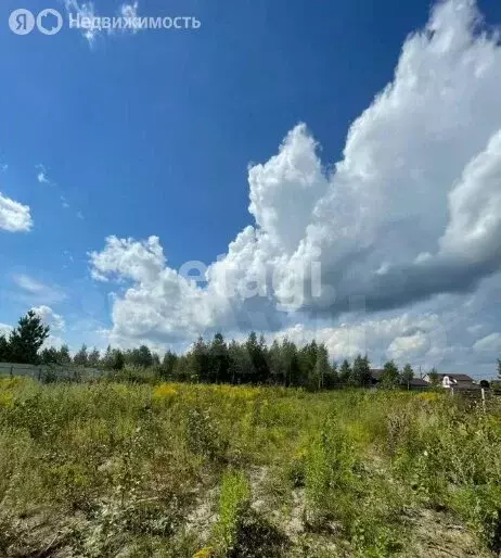 Участок в Мошковский район, посёлок Барлакский (11.4 м) - Фото 0