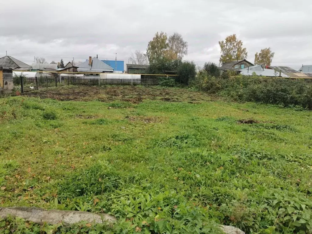 Участок в Новосибирская область, Болотное Березовская ул., 69 (10.0 ... - Фото 2