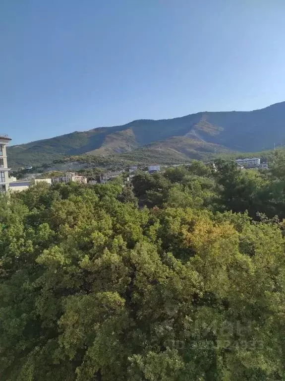 1-к кв. Краснодарский край, Геленджик Туристическая ул., 3Д (48.0 м) - Фото 0