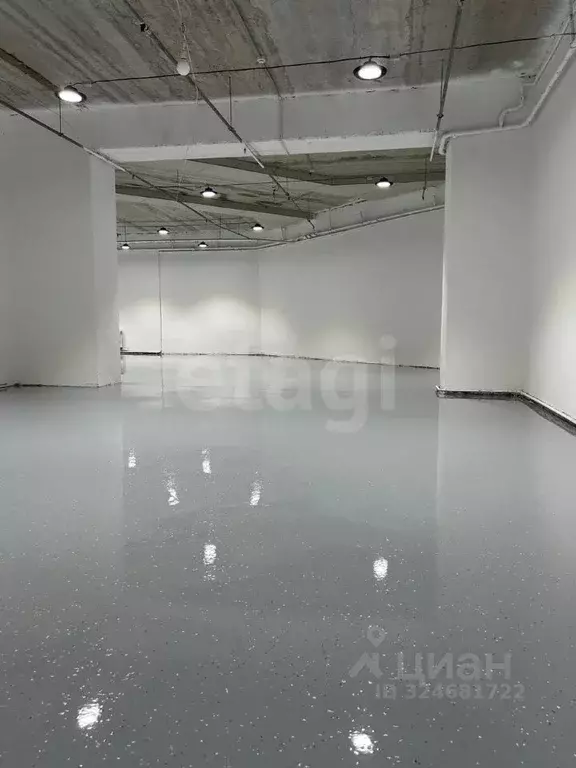 Помещение свободного назначения в Ульяновская область, Димитровград ... - Фото 2