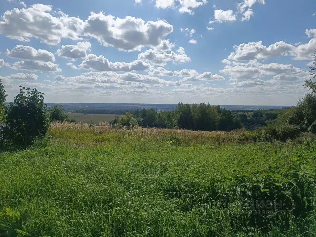 Дом в Нижегородская область, Лысковский район, с. Окишино Верхняя ул. ... - Фото 2
