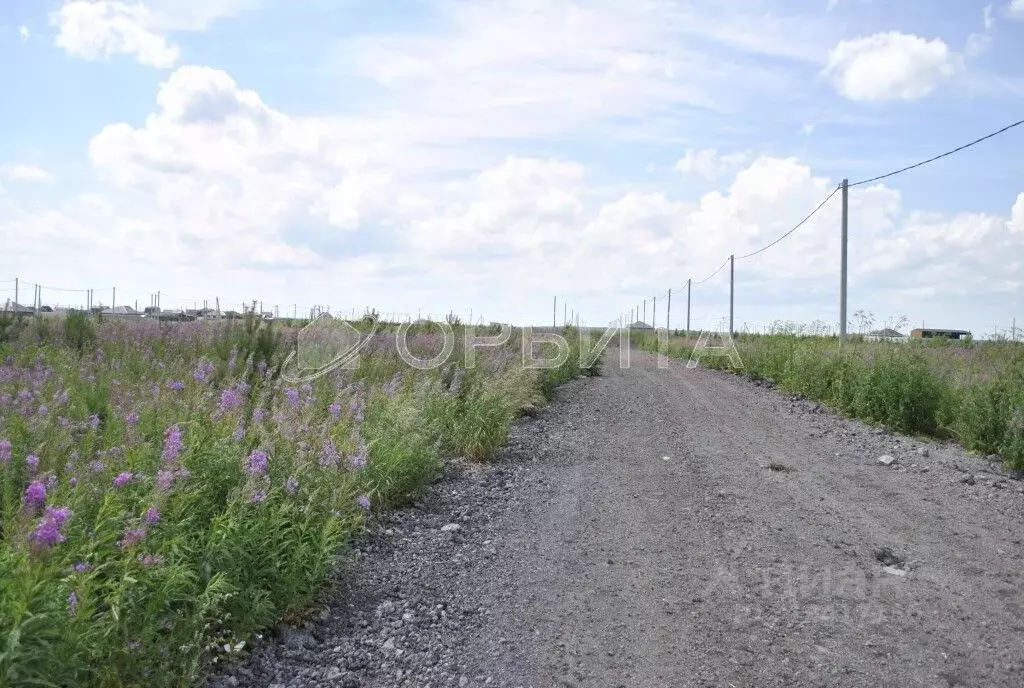 Участок в Тюменская область, Тюменский район, д. Малиновка, Вольные ... - Фото 0