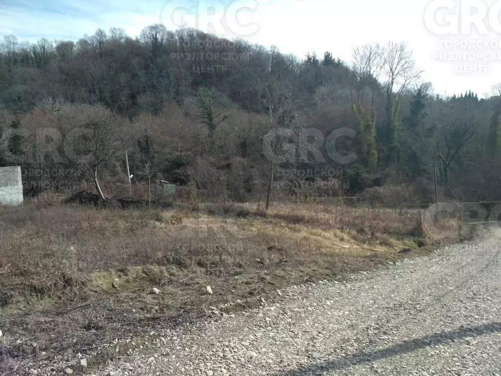 Участок в Краснодарский край, Сочи ул. Розовая, 14/1 (6.0 сот.) - Фото 1