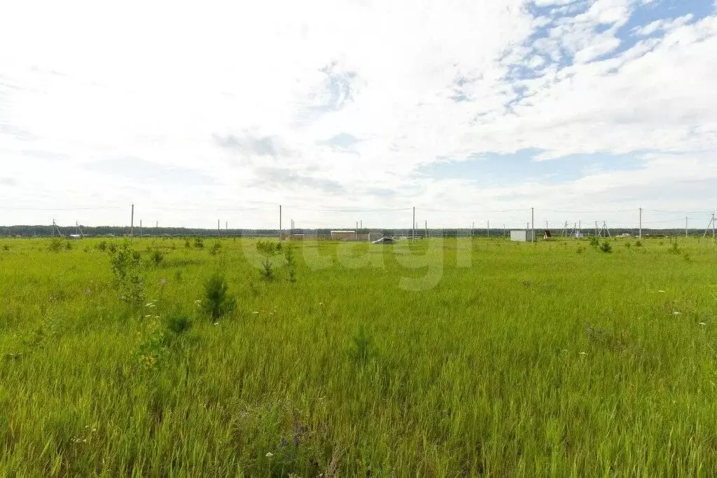 Участок в Тюмень, садоводческое некоммерческое товарищество ... - Фото 2