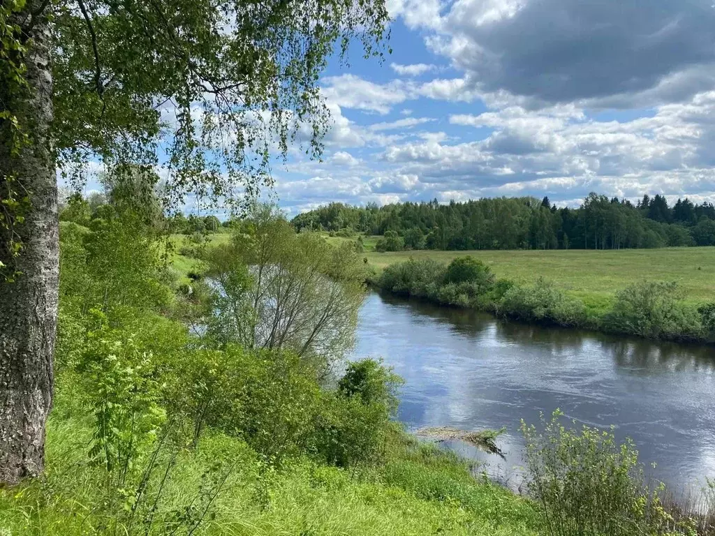 Участок в Псковская область, Пушкиногорский район, Велейская волость, ... - Фото 1