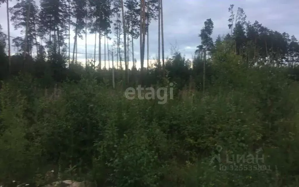 Участок в Свердловская область, Ревда муниципальный округ, с. Кунгурка ... - Фото 1