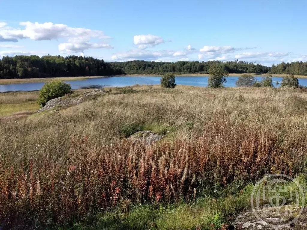 Участок в Карелия, Лахденпохский муниципальный округ, пос. Асилан  ... - Фото 2