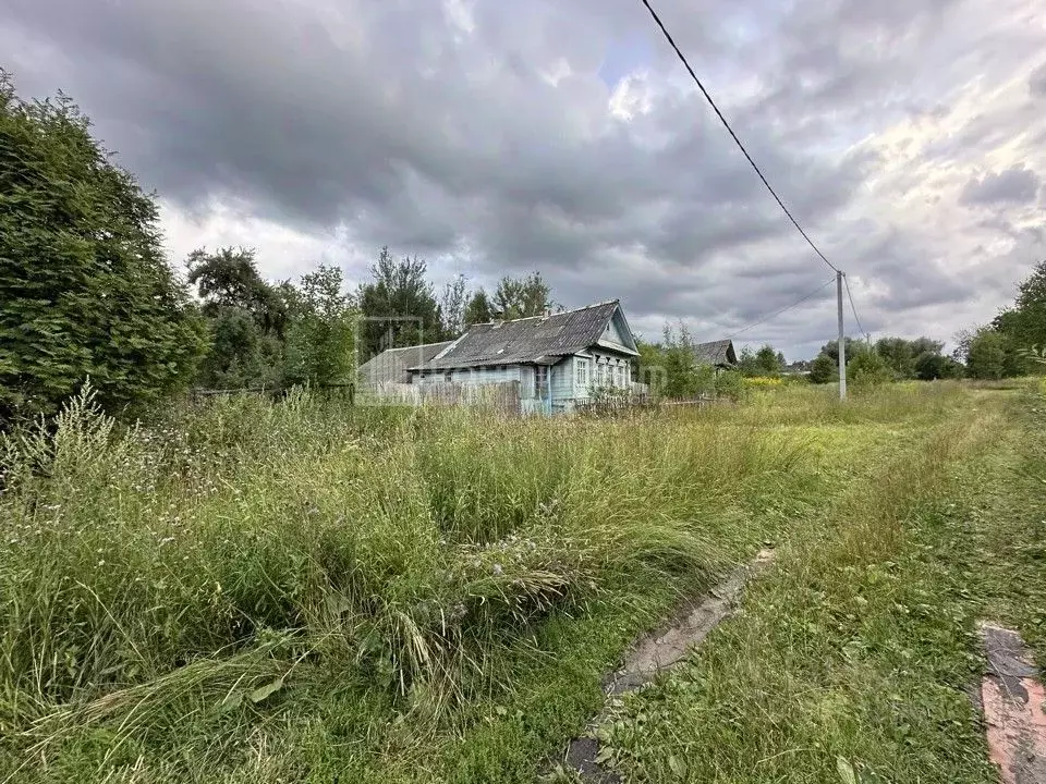 Дом в Владимирская область, Селивановский район, Чертковское ... - Фото 1