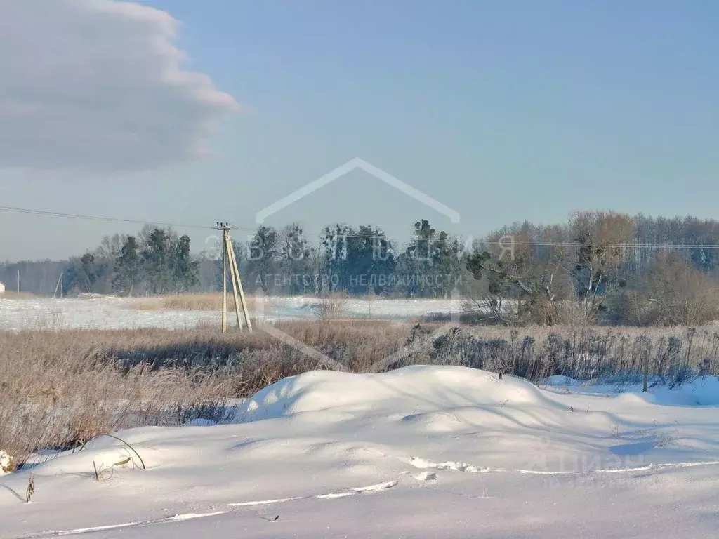 Дом в Калининградская область, Гурьевский муниципальный округ, пос. ... - Фото 2