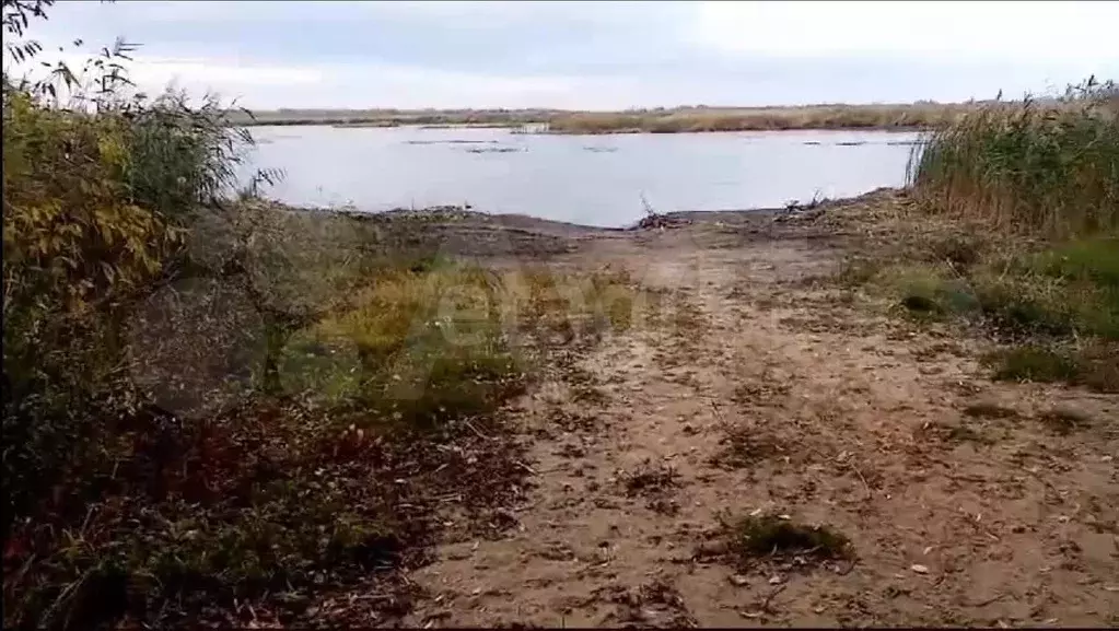 Участок 6 сот. (СНТ, ДНП) - Фото 0
