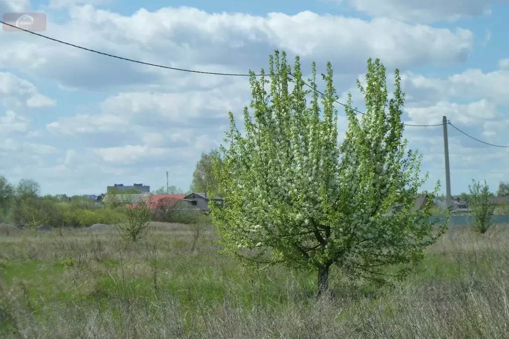 Купить Участок В Новой Усмани Воронежской