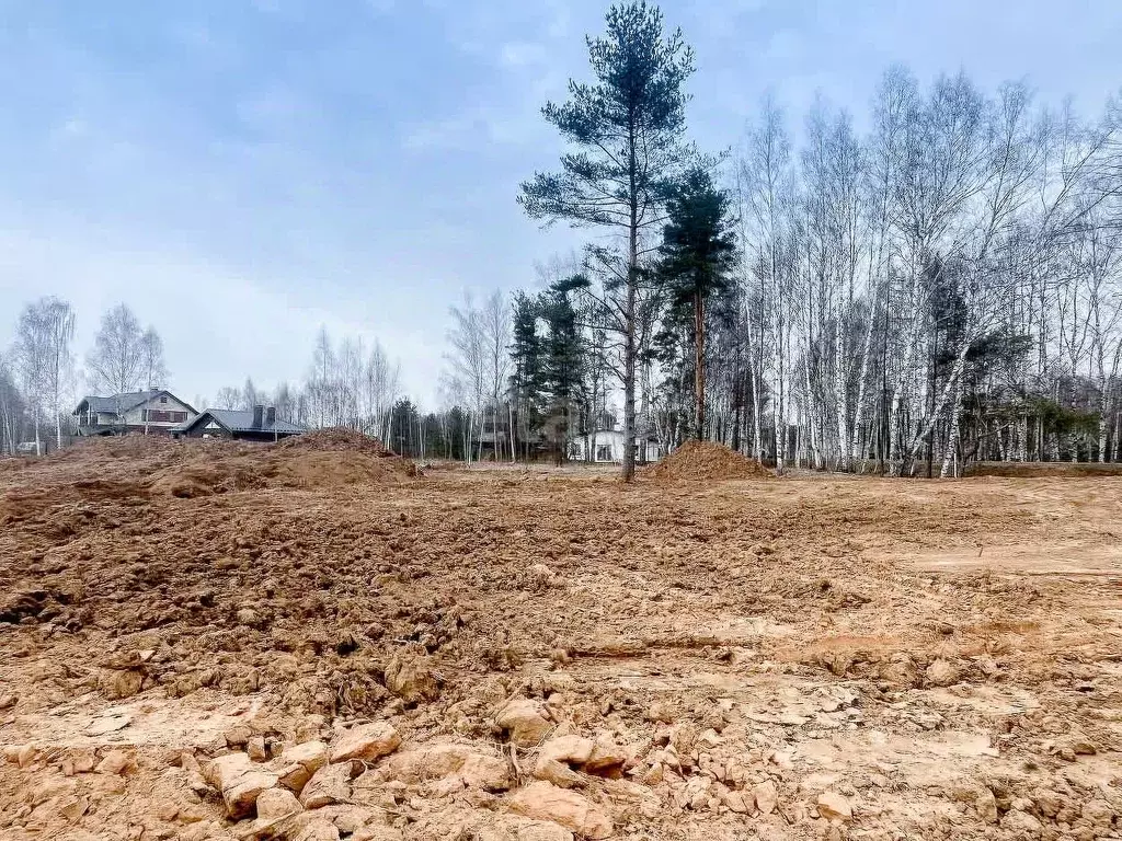 Участок в Ярославская область, Некрасовское с/пос, д. Турово  (24.0 ... - Фото 1