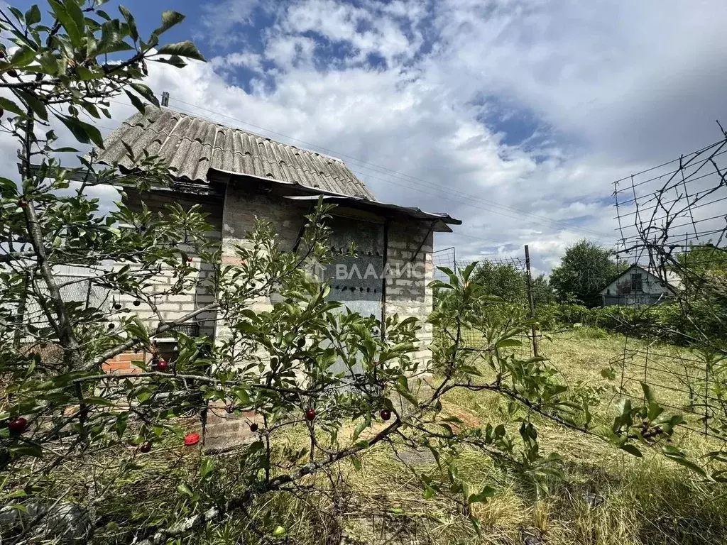 Участок в Воронежская область, Воронеж Вега-88 СНТ, ул. 18-я, 1024 ... - Фото 0