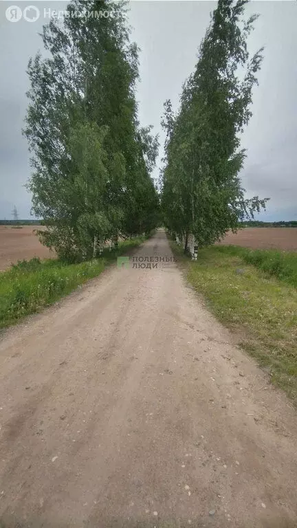 Участок в Вологодский муниципальный округ, посёлок Заря (20 м) - Фото 0
