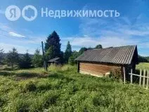 Дом в Вологодская область, Сокольский муниципальный округ, деревня ... - Фото 1