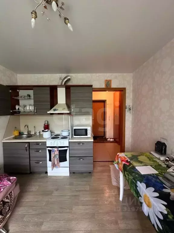 1-к кв. Амурская область, Благовещенск Загородная ул., 38 (35.8 м) - Фото 0