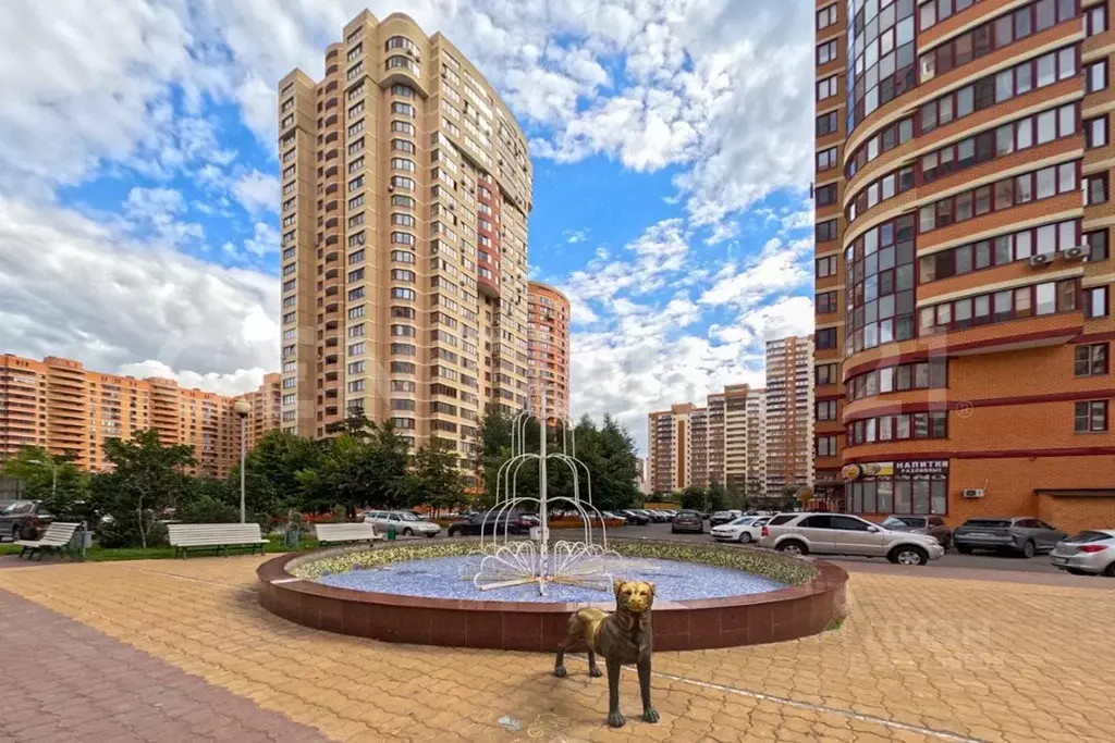 1-к кв. Московская область, Реутов Юбилейный просп., 33 (60.0 м) - Фото 0