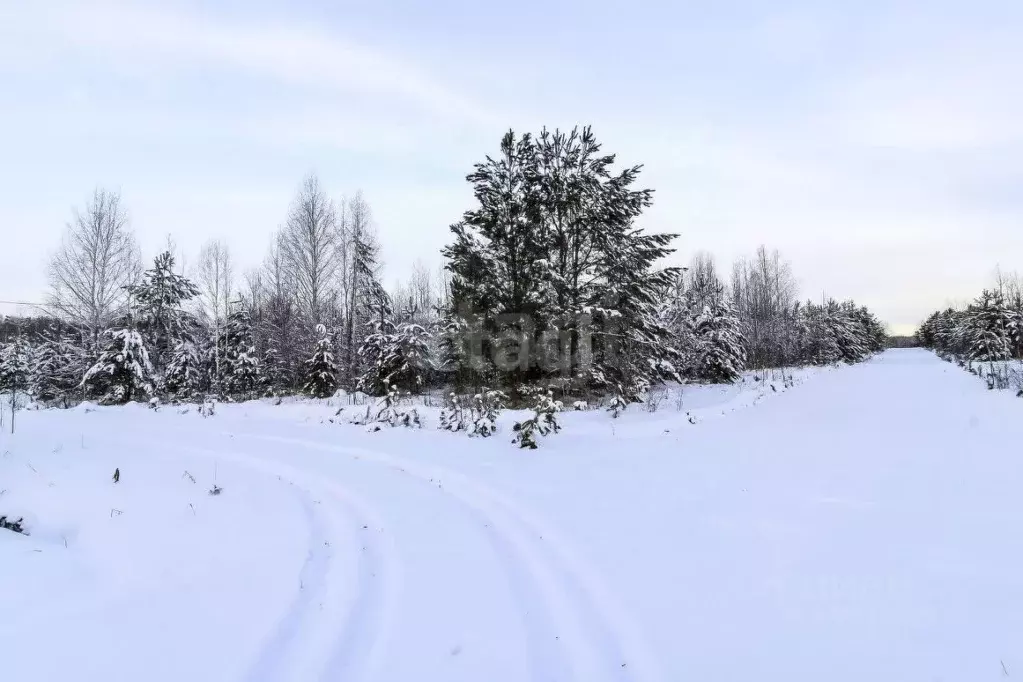 Участок в Тюменская область, Нижнетавдинский муниципальный округ, д. ... - Фото 1
