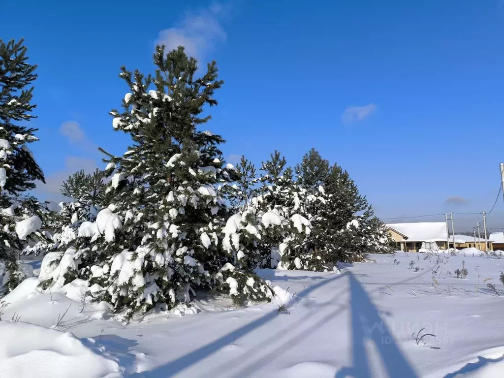 Участок в Московская область, Раменский муниципальный округ, с. ... - Фото 2