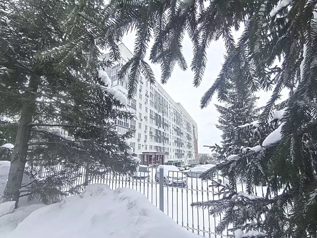 2-к кв. Башкортостан, Уфа ул. Рудольфа Нуреева, 23 (65.0 м) - Фото 1