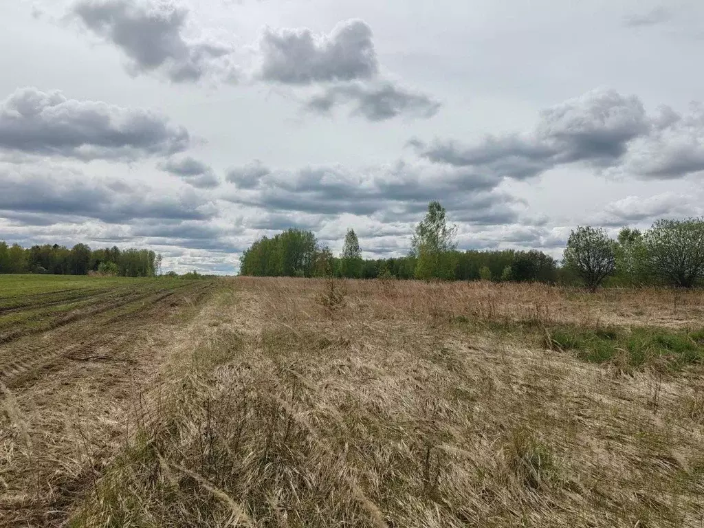 Участок в Владимирская область, Петушинский муниципальный округ, д. ... - Фото 1