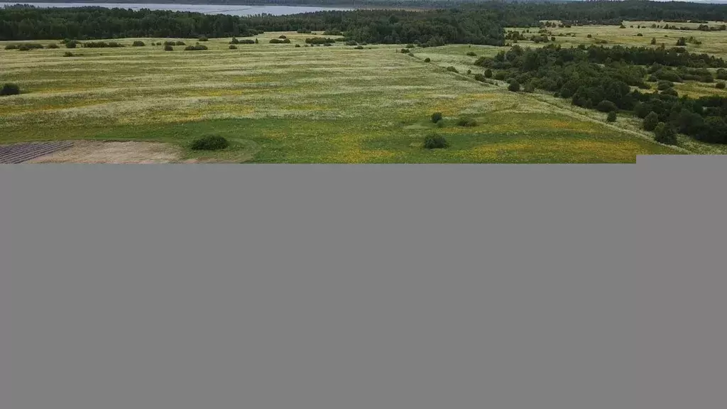 Участок в Карелия, Пряжинский район, с. Крошнозеро ул. Новая (12.0 ... - Фото 1