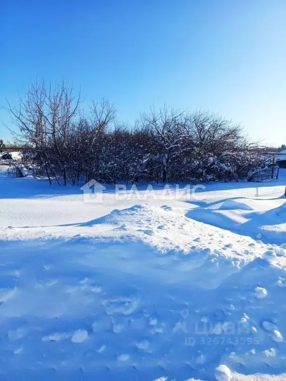 Участок в Пензенская область, Шемышейский район, с. Старая Яксарка ... - Фото 1