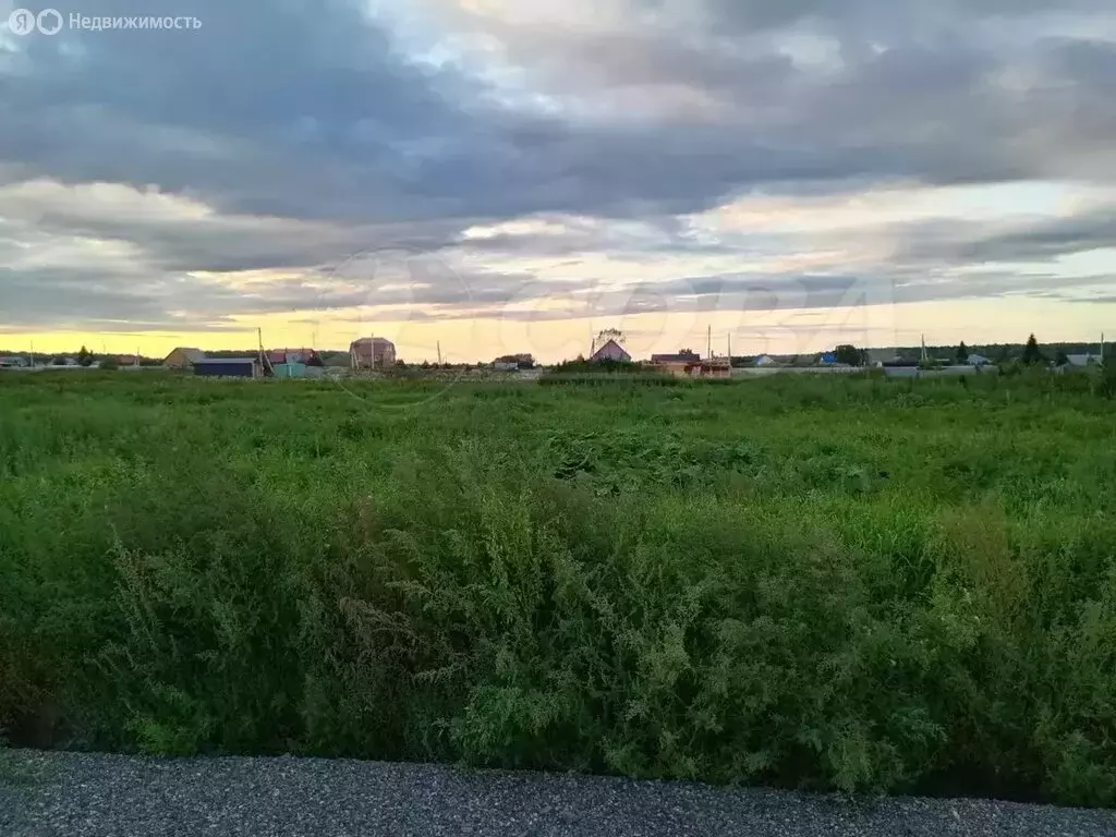 Участок в Свердловская область, Тугулымский муниципальный округ, село ... - Фото 0