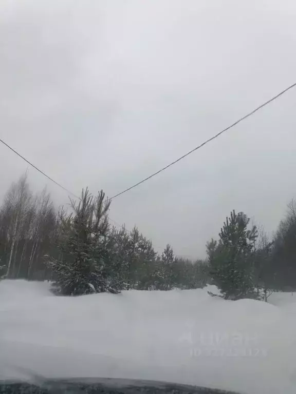 Участок в Московская область, Можайский муниципальный округ, Искона ... - Фото 1