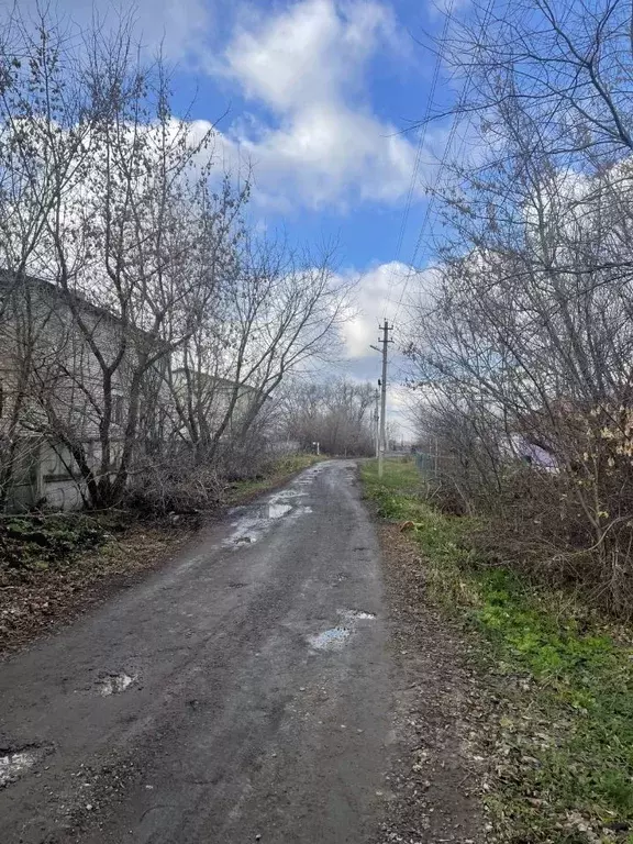 Участок в Воронежская область, Новоусманский район, с. Рогачевка ул. ... - Фото 0