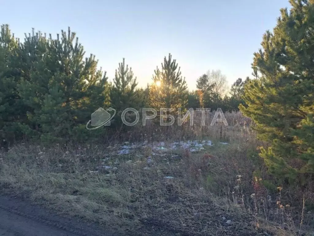 Участок в Тюменская область, Тюменский район, Новокаменский кп ул. ... - Фото 1