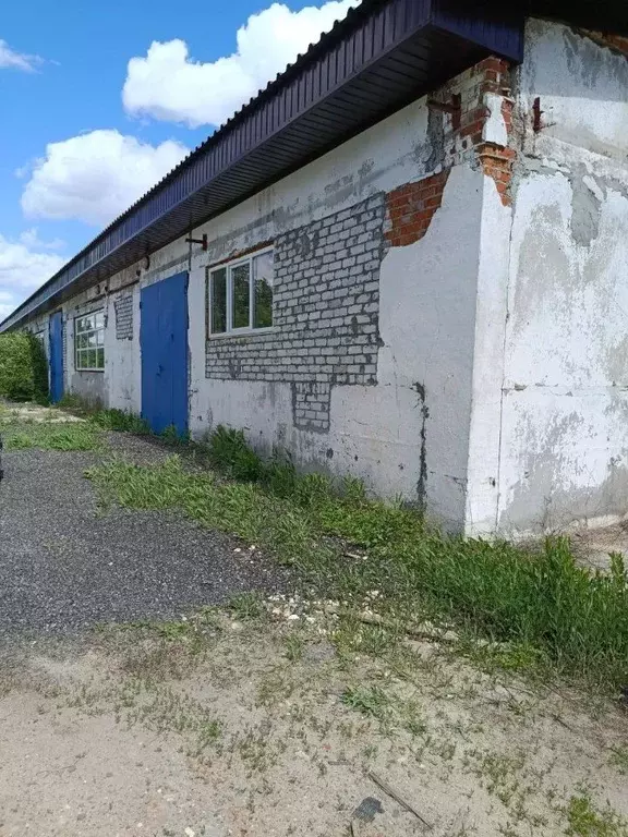 Производственное помещение в Волгоградская область, Городище рп ул. ... - Фото 1
