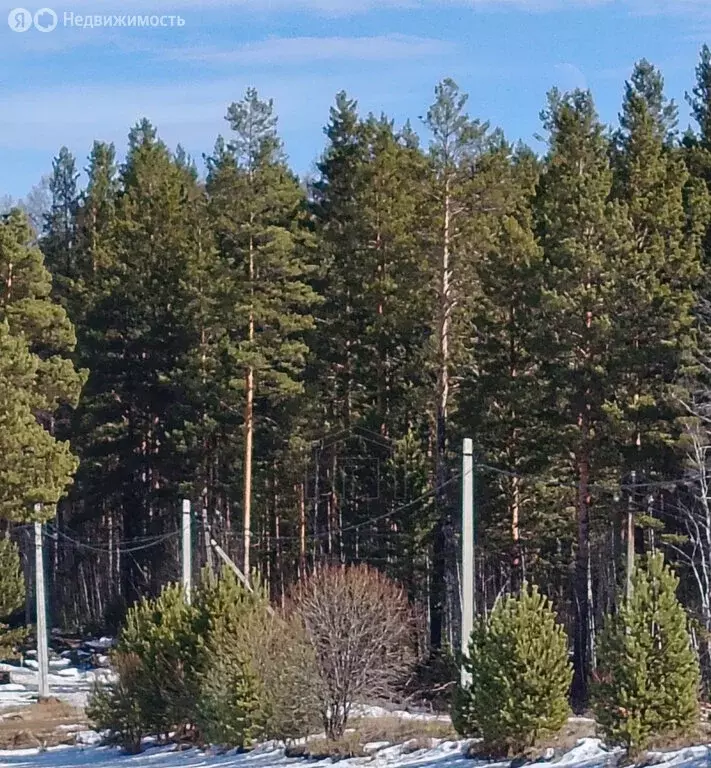 Участок в Иркутский муниципальный округ, ДПК Садко, Летний проезд, 32 ... - Фото 2