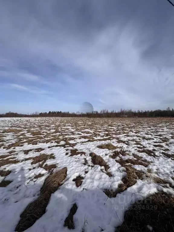 Участок в Ленинградская область, Приозерский район, Ромашкинское ... - Фото 2
